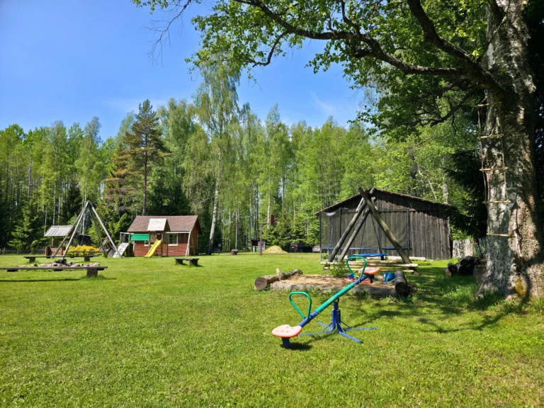 Home atsikivi puhketalu palju ruumi erinevateks tegevusteks