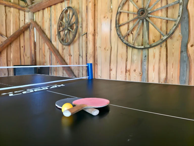 Home erinevad vaba aja tegevused atsikivi puhketalus