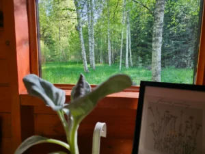 Home kämpingumaja looduse vaatega