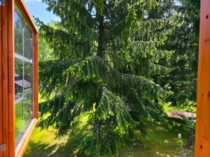 Home kaunis vaade saunamaja teiselt korruselt