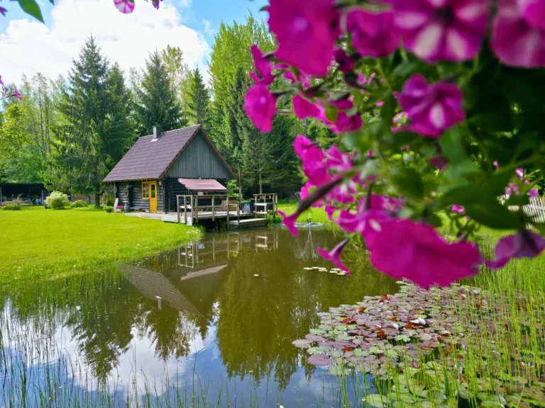 Home tiik atsikivi puhketalus